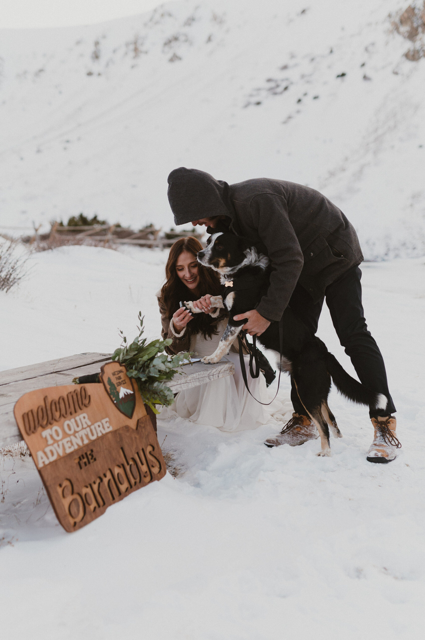 Dog signing marriage license at Loveland Pass, Colorado