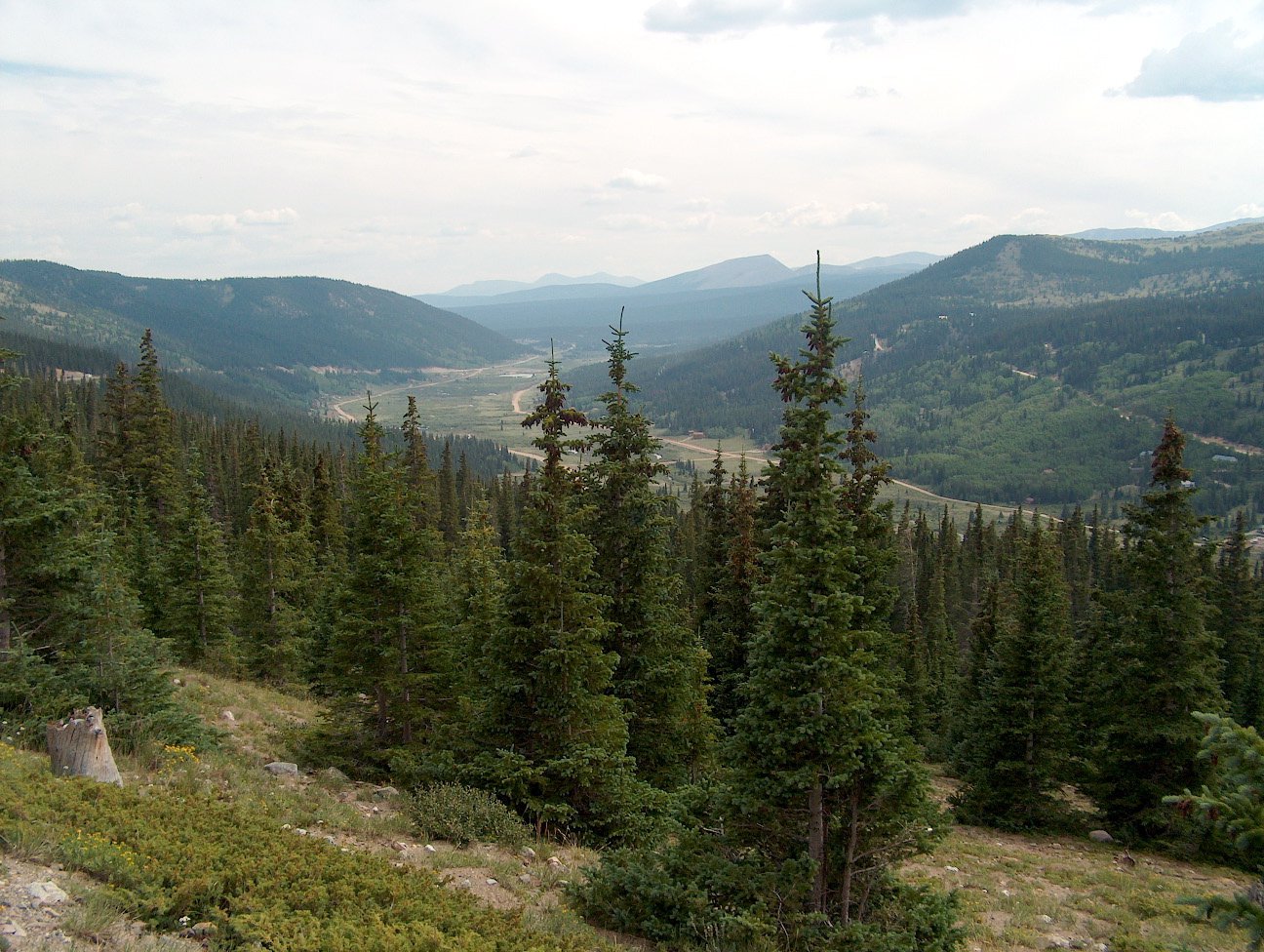 Hoosier Pass with trees