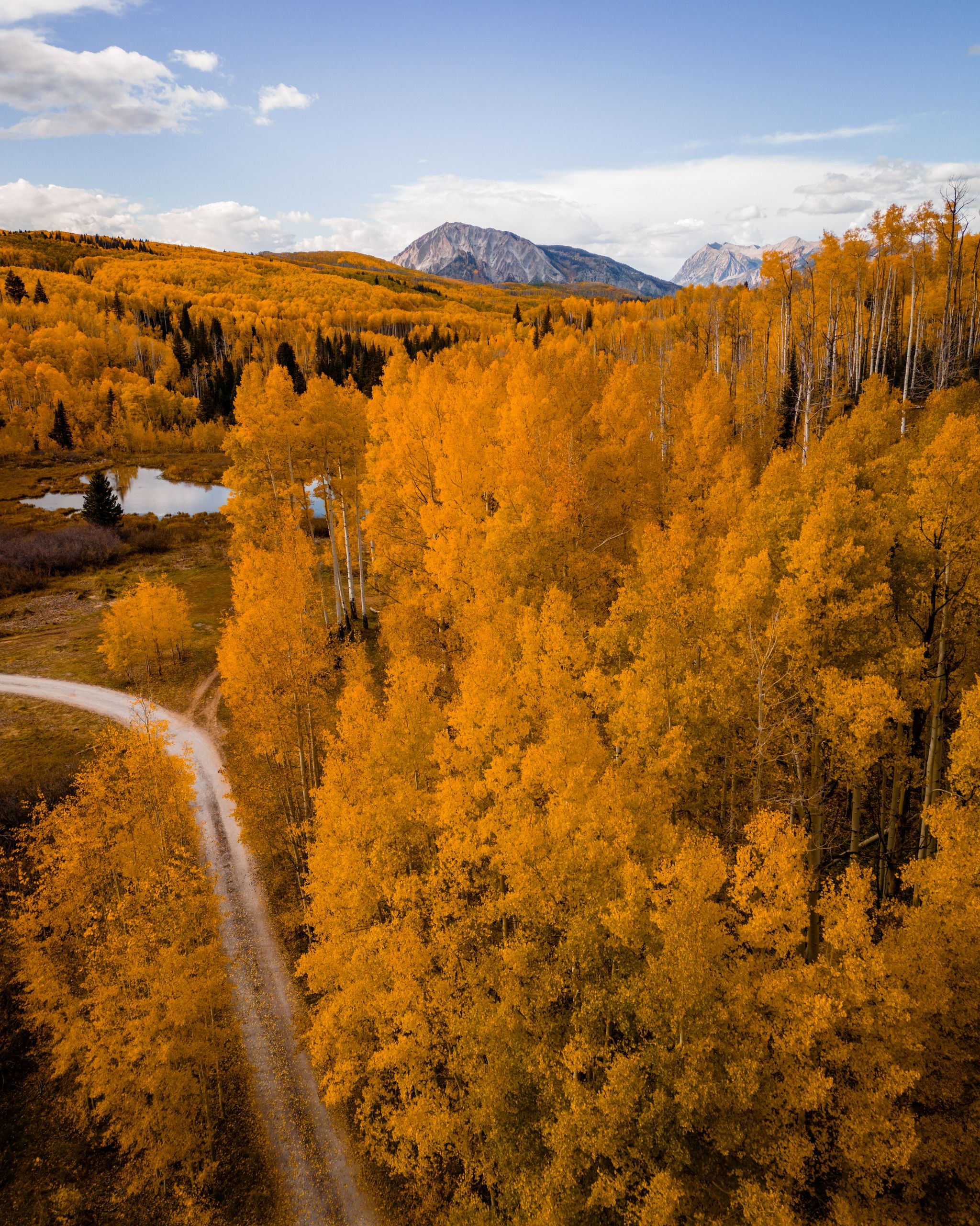 Kebler Pass in colorado during fall