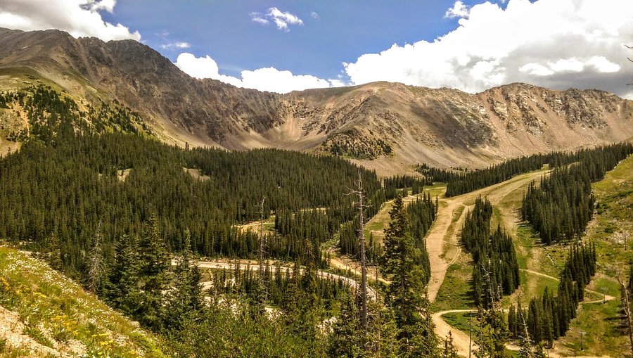 loveland pass in summer