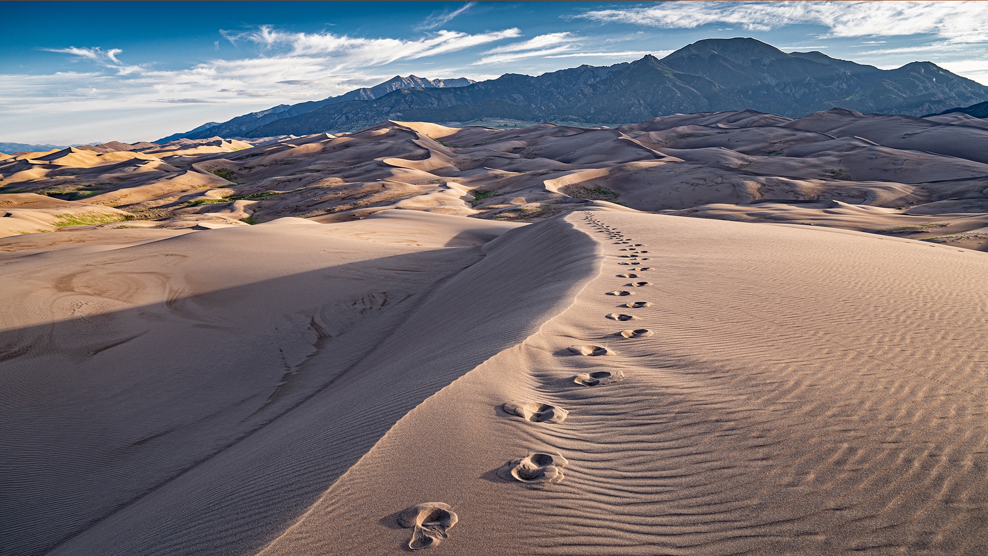 foot prints at Great Sand Dunes National Park in Colorado